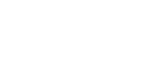 Finalix Logo
